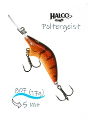 Poltergeist 80 R05 - фото