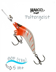 Poltergeist 80 Rus4 - фото