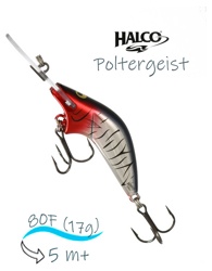 Poltergeist 80 R49 - фото