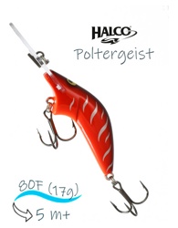 Poltergeist 80 R18 - фото