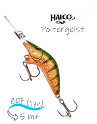 Poltergeist 80 R26 - фото