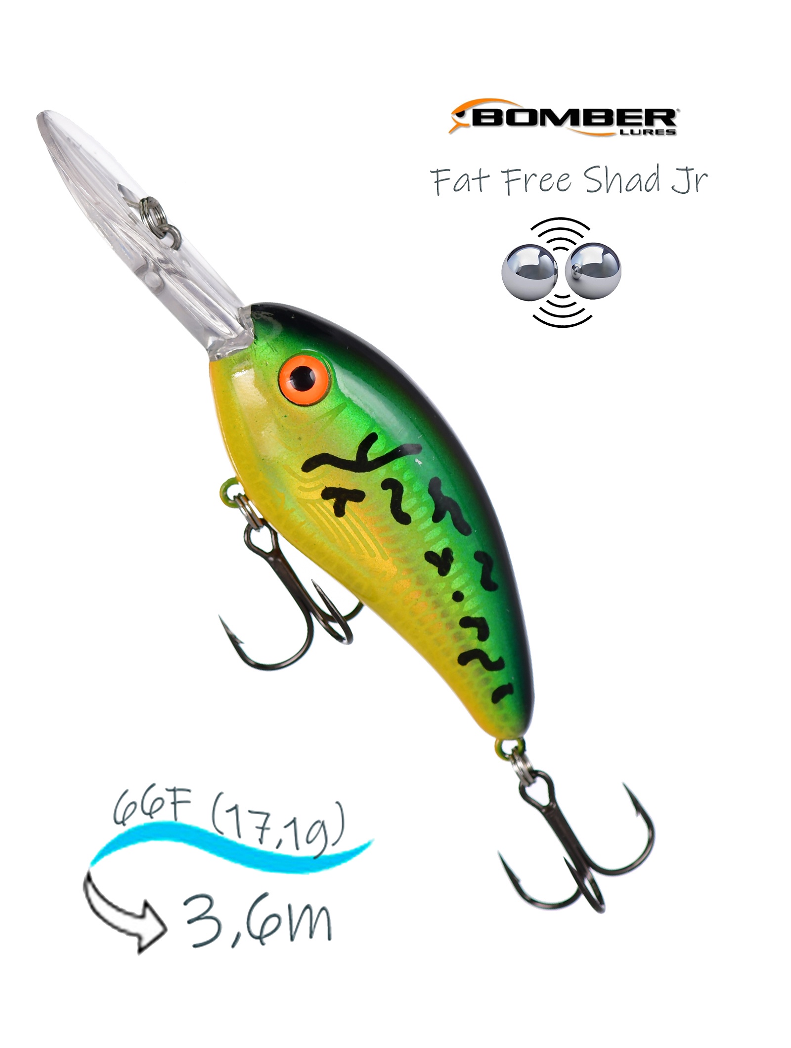BD6 FDFT Fat Free Shad - фото