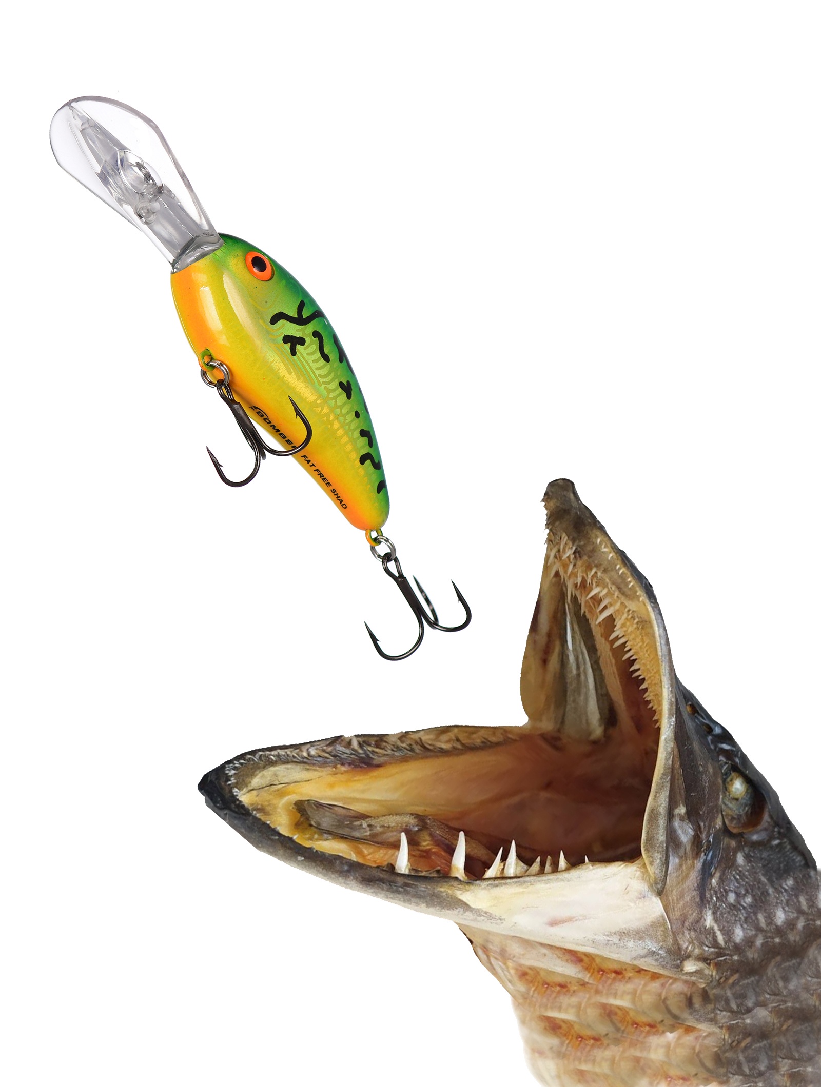BD6 FDFT Fat Free Shad - фото2