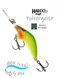 Poltergeist 80 R07 (Glo) - фото