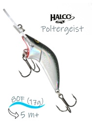 Poltergeist 80 Rus1 - фото