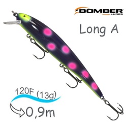 B15 ASAL11 Long A - фото