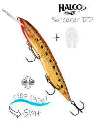 Sorcerer 150 DD-H70 - фото