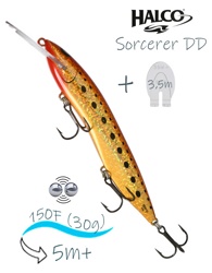 Sorcerer 150 DD-H70 - фото
