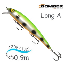 B15 ASAL2 Long A - фото