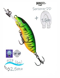 Sorcerer  52 DD-H52 - фото