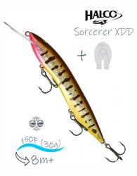 Sorcerer 150 XDD-R31 - фото