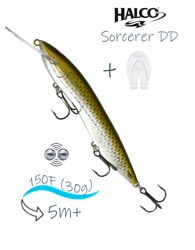 Sorcerer 150 DD-R32 - фото