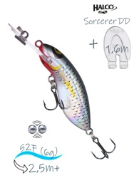 Sorcerer  52 DD-R25 - фото