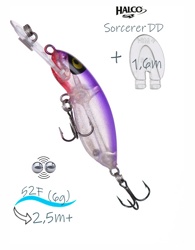 Sorcerer  52 DD-R34 - фото