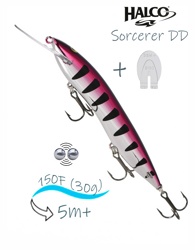 Sorcerer 150 DD-R15 - фото