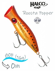 Roosta Popper 80 H70 - фото