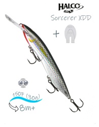 Sorcerer 150 XDD-R25 - фото