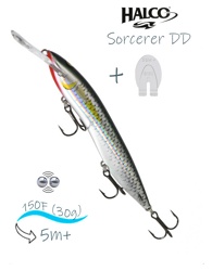 Sorcerer 150 DD-R25 - фото