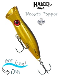 Roosta Popper 80-H51 - фото
