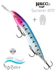 Sorcerer 150 XDD-R19 - фото