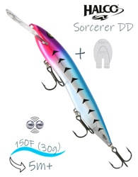 Sorcerer 150 DD-R19 - фото