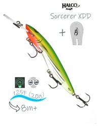 Sorcerer 125 XDD-H81 - фото
