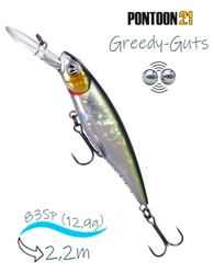 Greedy-Guts 88 SP-MDR-430 - фото