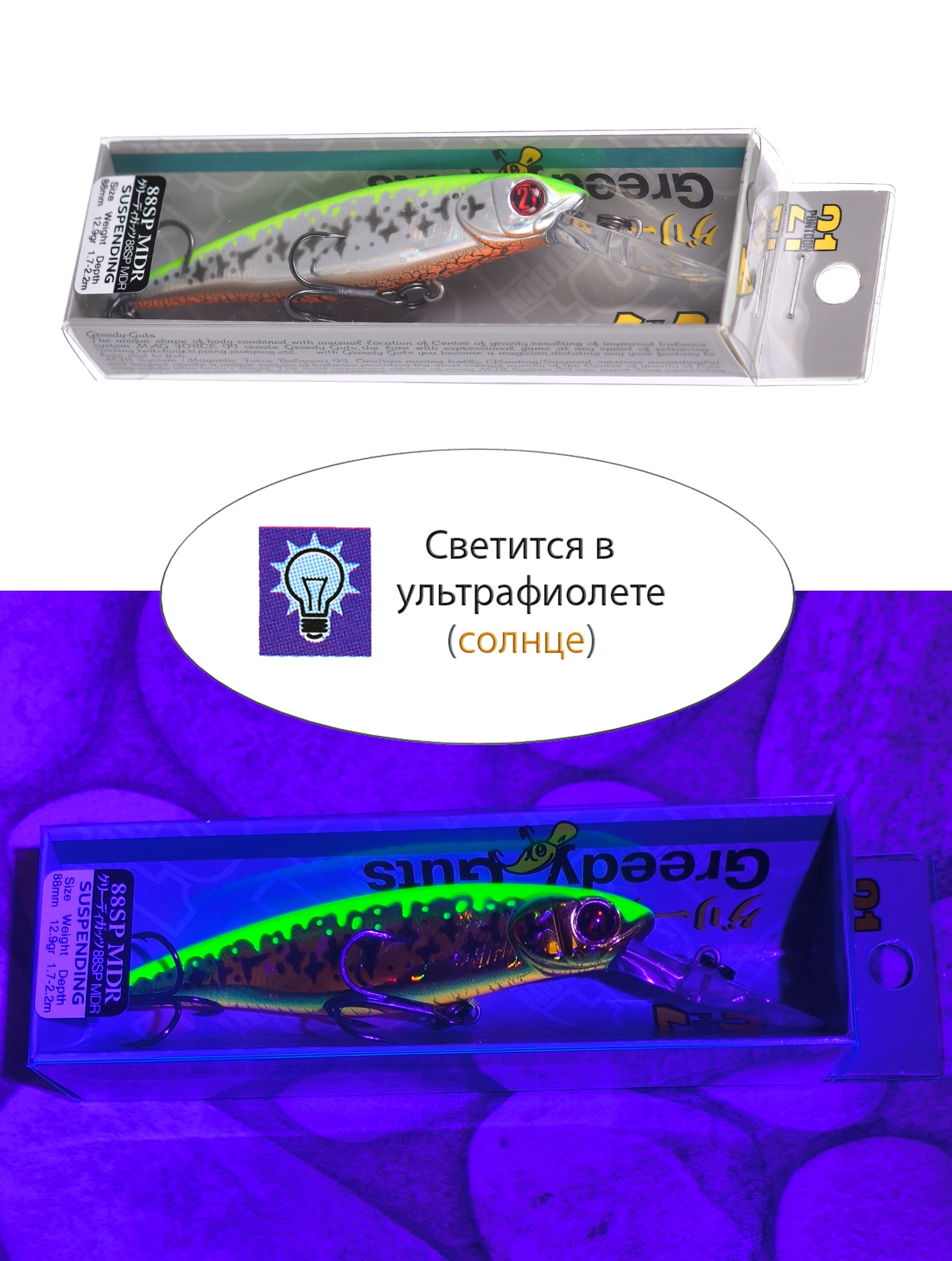 Greedy-Guts 88 SP-MDR-433 - фото4