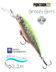 Greedy-Guts 88 SP-MDR-466 - фото