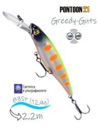 Greedy-Guts 88 SP-MDR-473 - фото