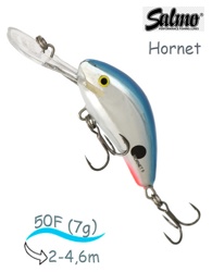 QHT101 Hornet HT-050-FL-RTS - фото