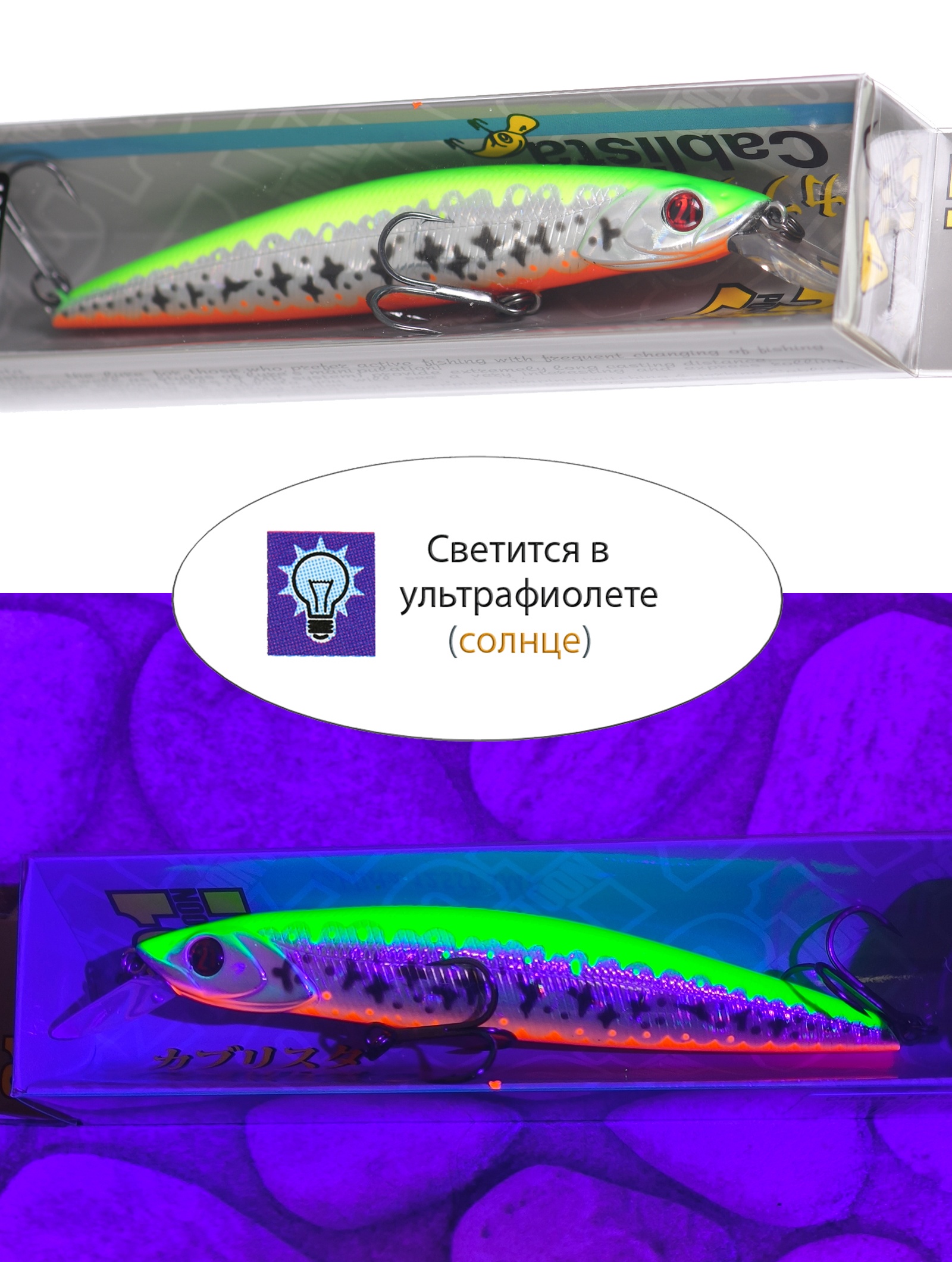 Cablista 105 SP-SMR-R33 - фото4