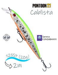 Cablista 125 SP-SMR-R33 - фото
