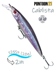Cablista 125 SP-SMR-R55 - фото