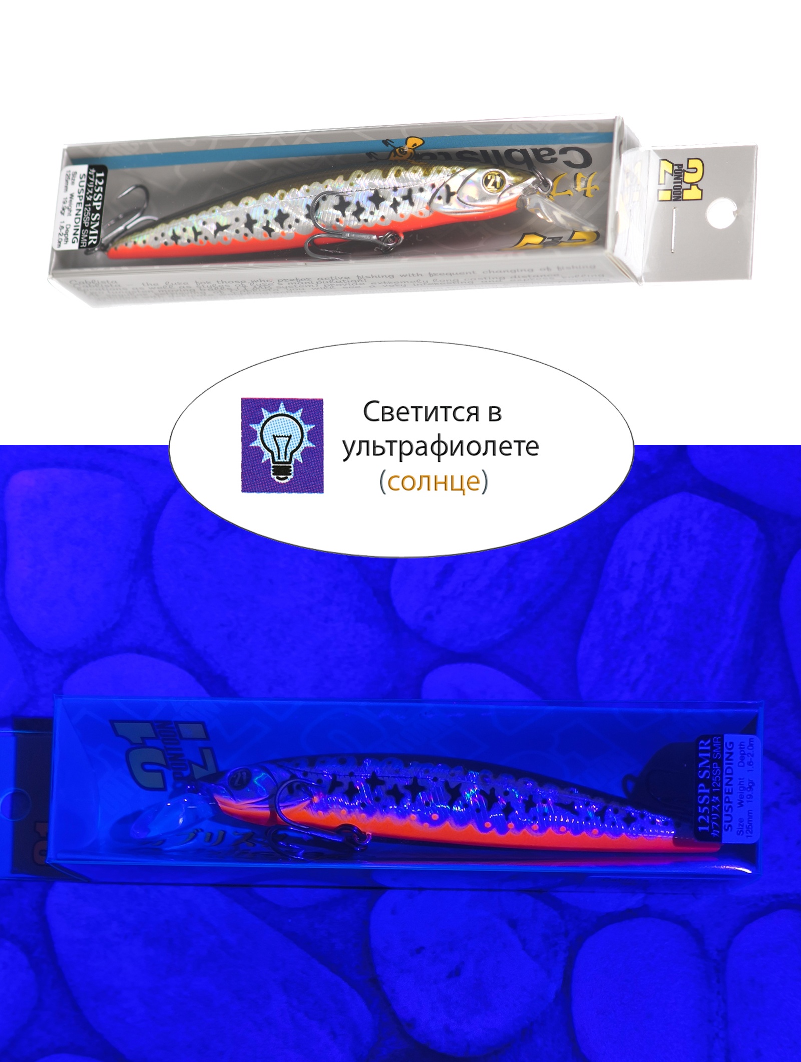 Cablista 105 SP-SMR-R53 - фото4