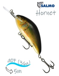 QHT079 Hornet HT-090-FL-RER - фото
