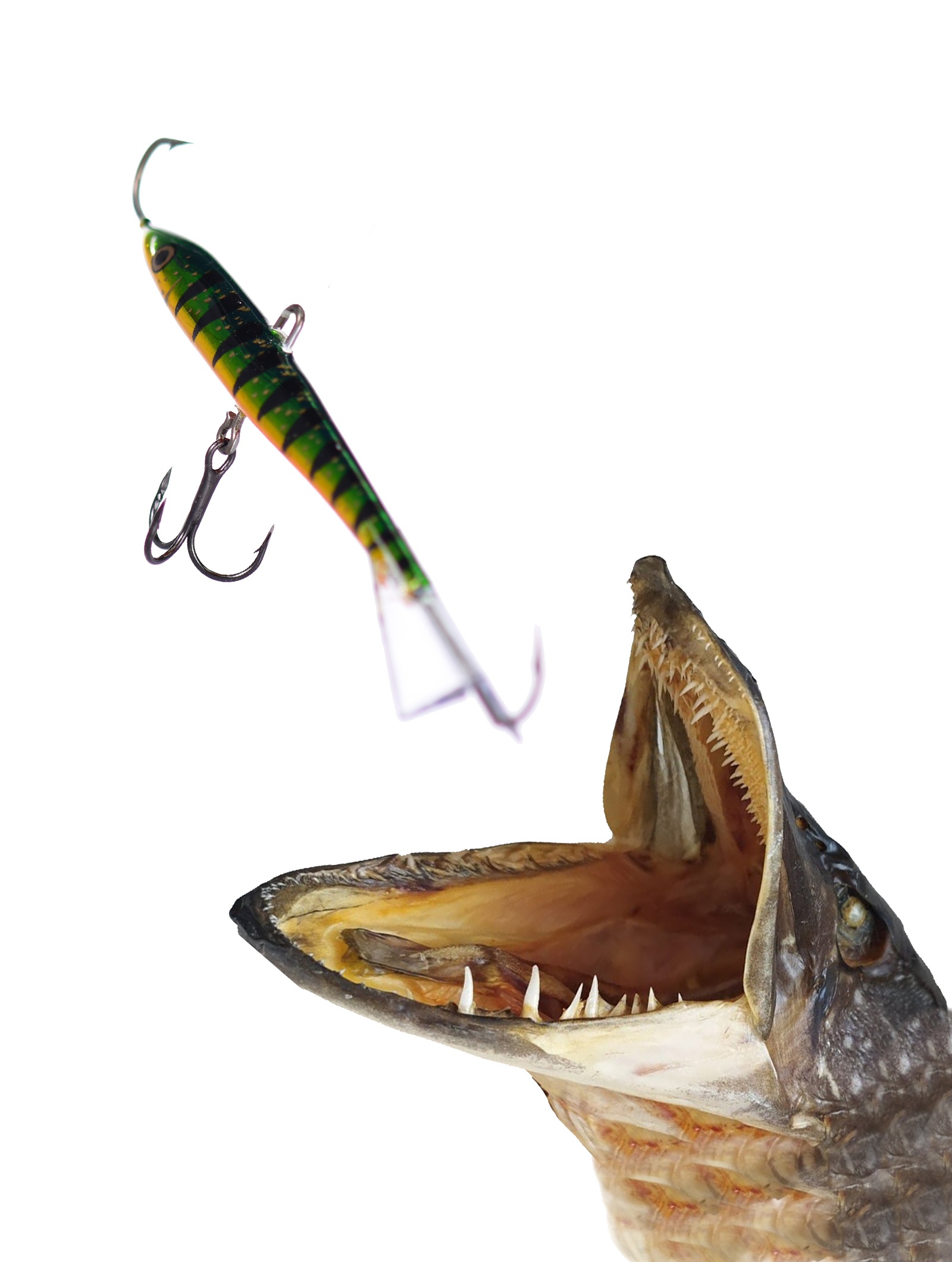 Jigging Rap W11-P - фото2