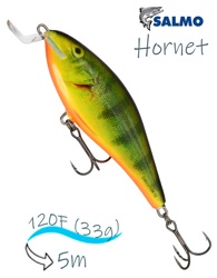 QEX021 Executor EX-120SR-RHP - фото