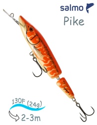 QPE043 Pike PE-130JD-API- фото