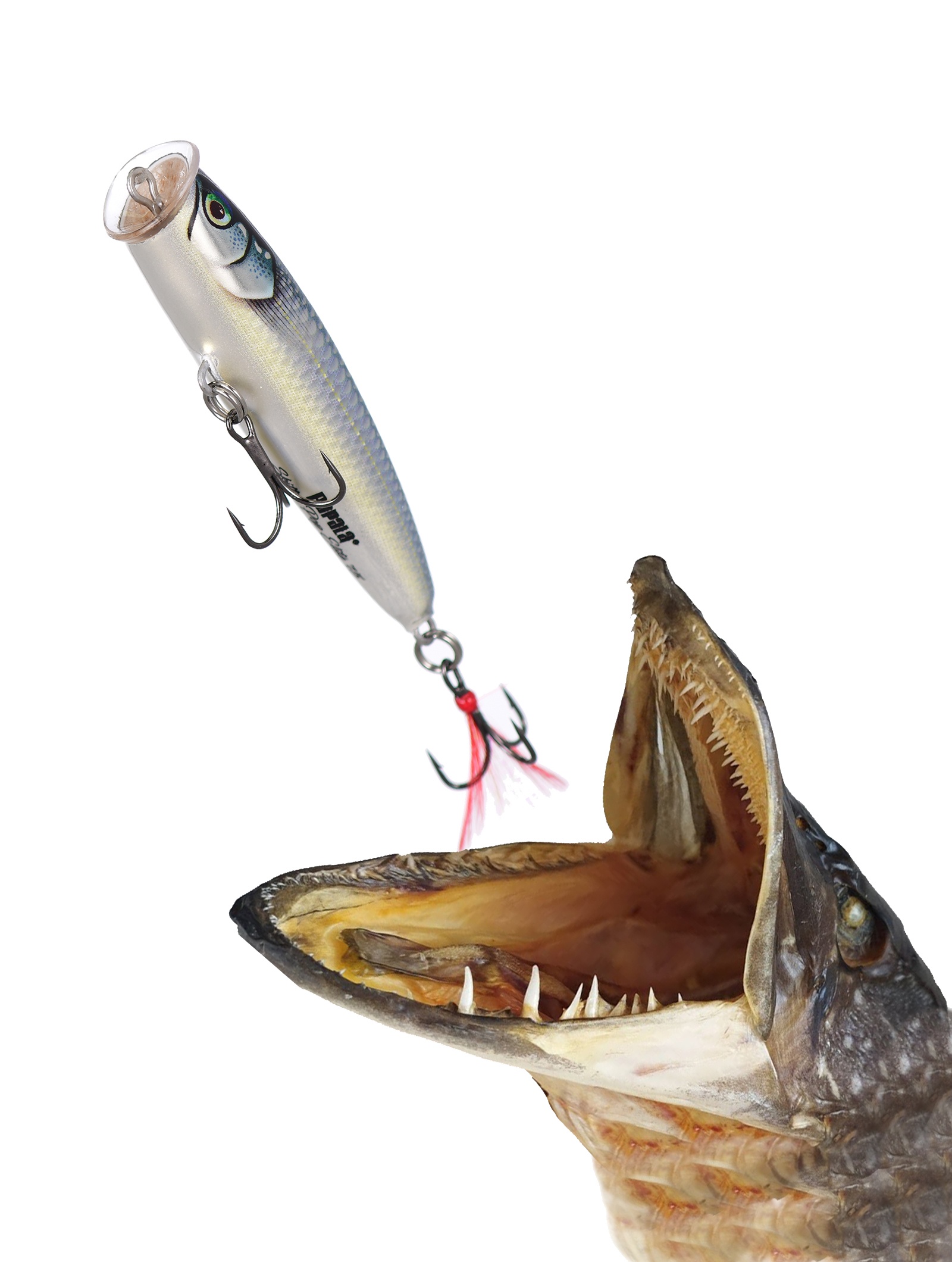 SPE75-GDBAP Skitter Pop Elite - фото2