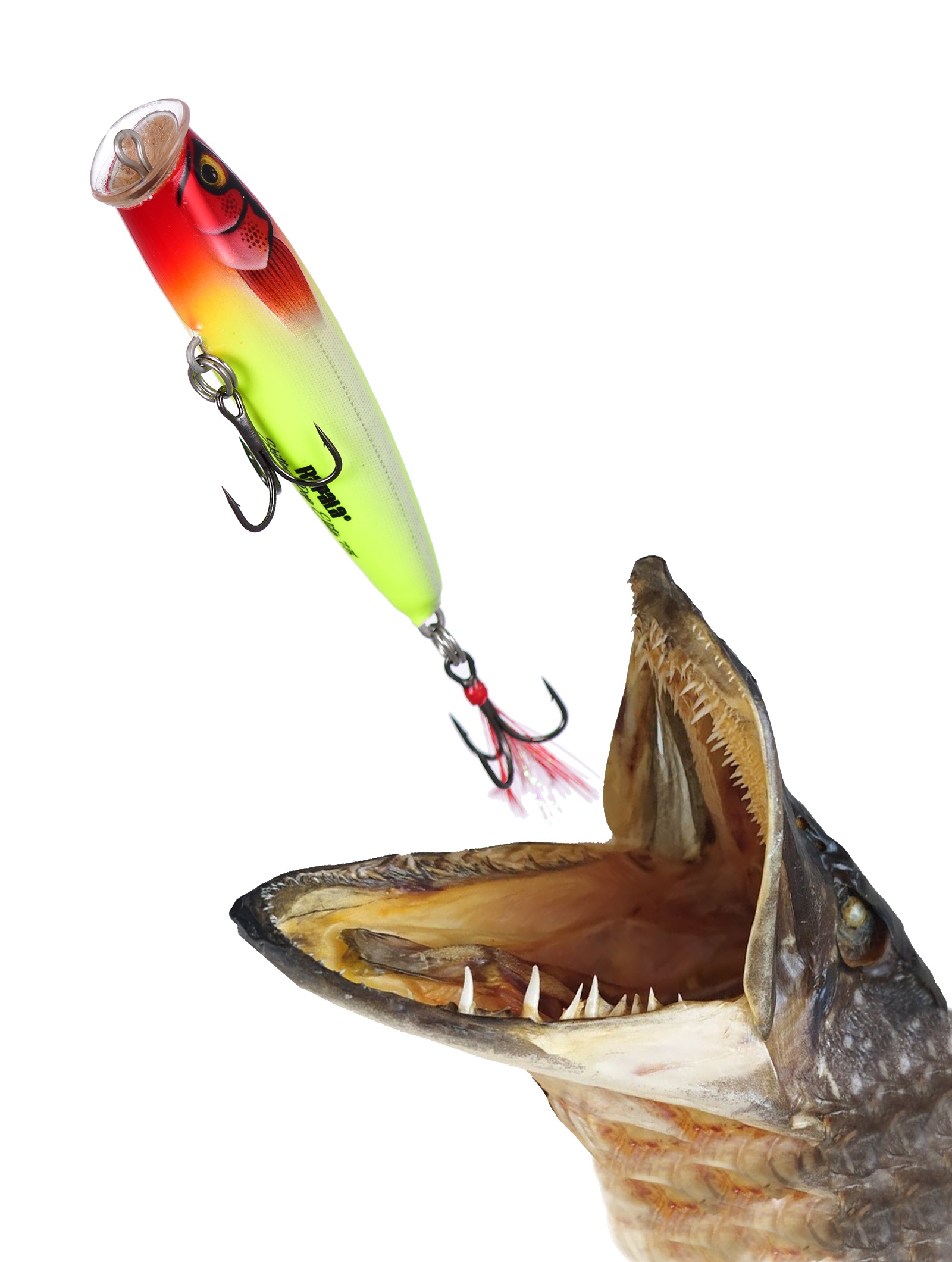 SPE95-GDCL Skitter Pop Elite - фото2