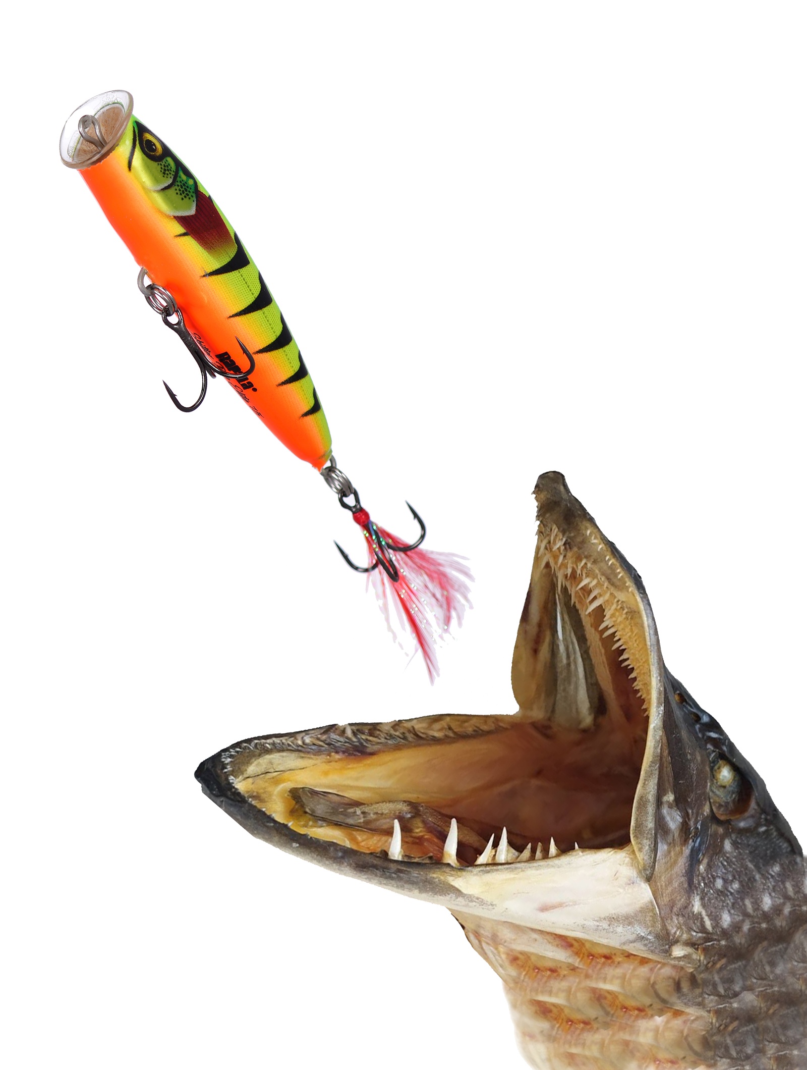 SPE75-GDFT Skitter Pop Elite - фото2