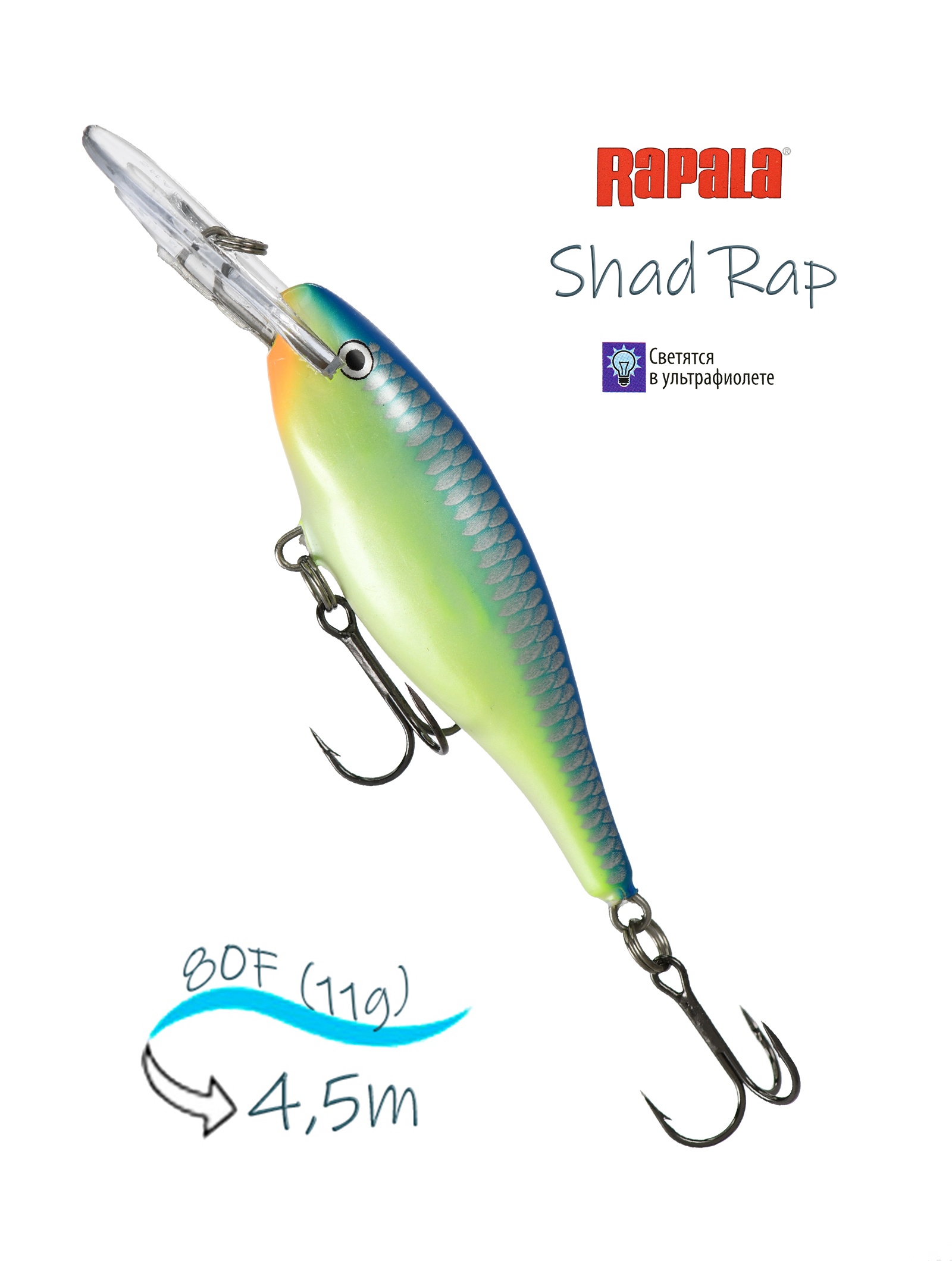 SR08 CRSD Shad Rap