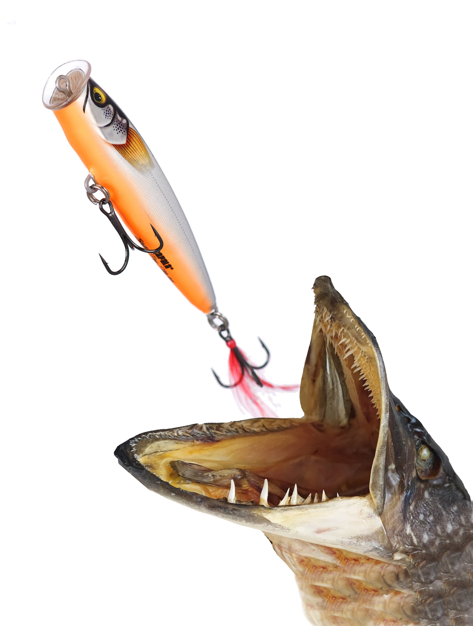SPE95-GDSS Skitter Pop Elite - фото2