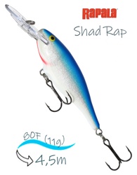 SR08 B Shad Rap - фото