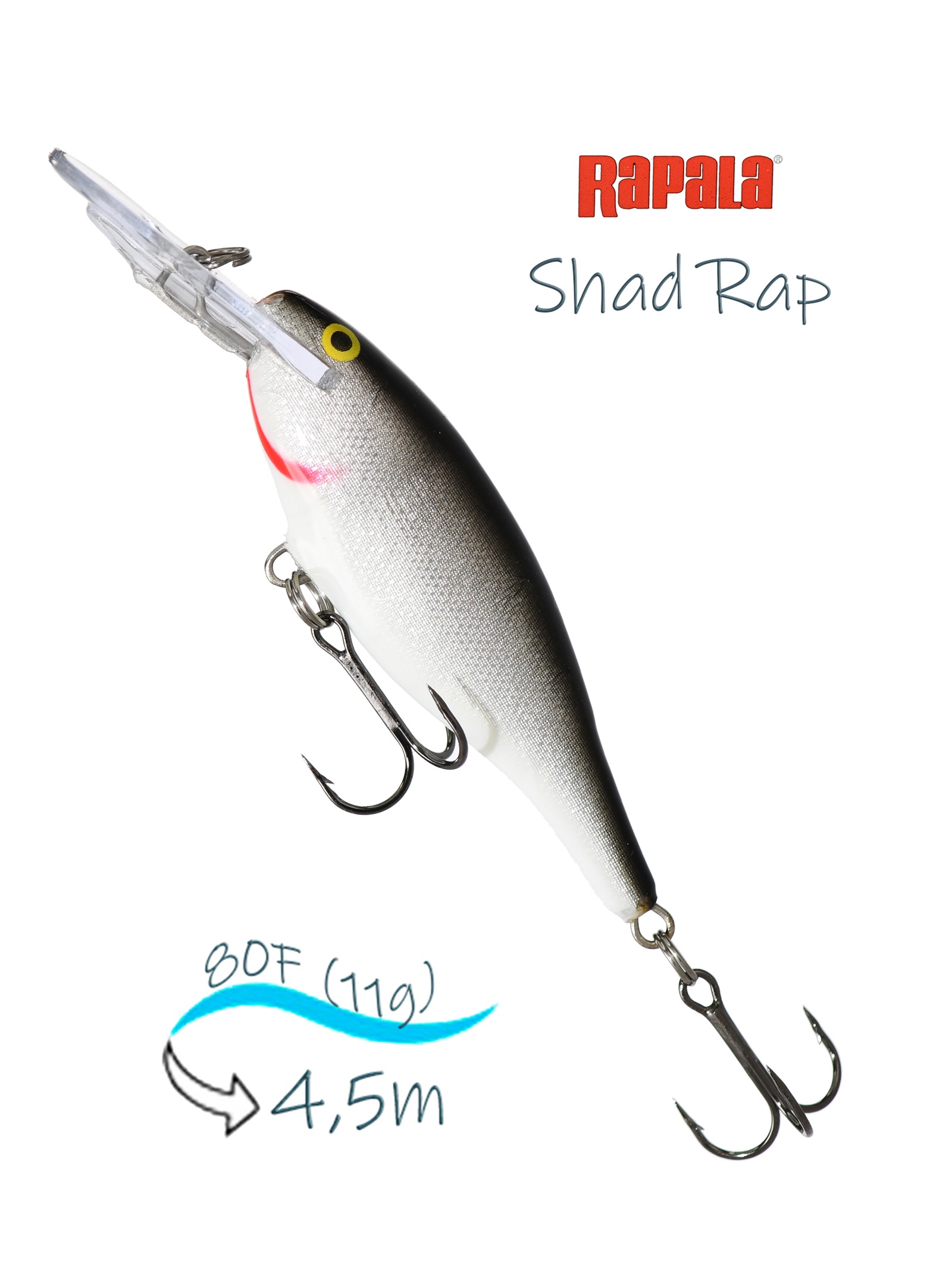 SR08 S Shad Rap