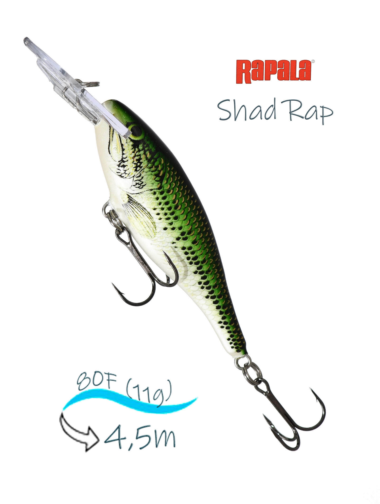 SR08 BB Shad Rap