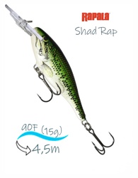 SR09 BB Shad Rap . - фото