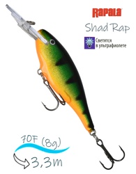 SR07 P Shad Rap - фото