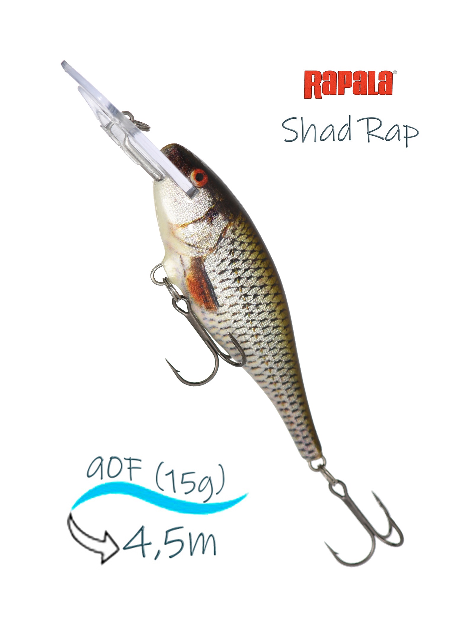 SR09 ROL Shad Rap